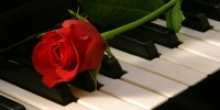 piano and rose 200x100 - خطراتی برای پیانو شما
