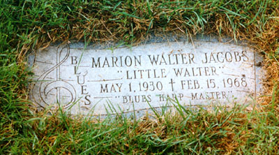 little walter 8 - لیتل والتر