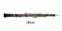 oboa 200x100 -  ساز ابوآ - oboa
