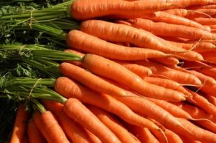خاصیت هویج