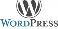wordpress search engine optimization 300x222 200x100 - بهینه سازی ورد پرس