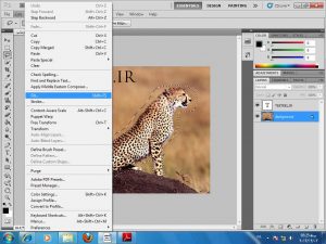فیل ا زمنوی ادیت 300x225 - آموزش حذف یک شی از تصویر زمینه در فتوشاپ