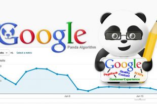 کاهش رتبه سایت در گوگل