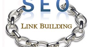 link building 310x165 - back link چیست