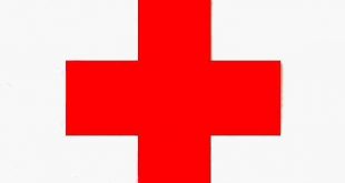 Red Cross 310x165 - ژان هنری دونانت پایه گذار صلیب سرخ