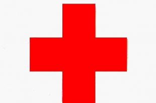 Red Cross 310x205 - ژان هنری دونانت پایه گذار صلیب سرخ