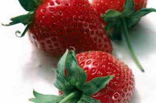 Strawberry Properties