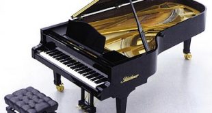 darbarepiano 310x165 - سوالاتی که درباره پیانو وجود دارد