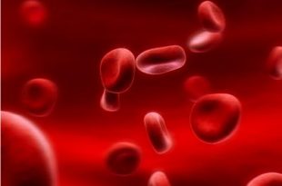 blood type 310x205 - گروه خونی و سلامت
