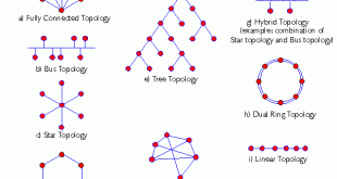 Network Topology 310x165 - انواع توپولوژی شبکه