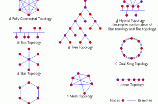 Network Topology 310x205 - انواع توپولوژی شبکه