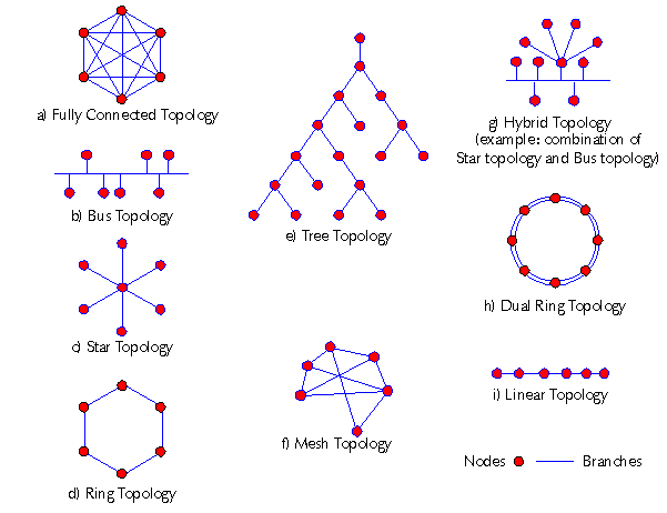 Network Topology - انواع توپولوژی شبکه