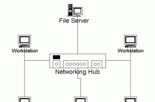 basic LAN 310x205 - تنظیم و راه اندازی شبکه lan