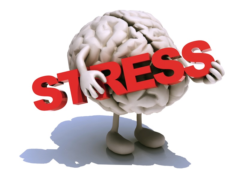 brain stress - بیماریهایی که از استرس نشات می گیرند
