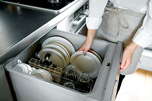 dishwasher - روش تمیز کردن ماشین ظرفشویی