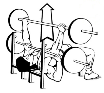 bench press - تمرینات مفید برای بدنسازی