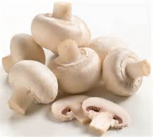 mashroom - خواص قارچ خوراکی