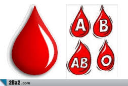 images15 - تفاوت گروه های خونی