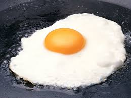 download 10 -  تخم مرغ در رژیم غذایی