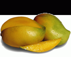 mango 300x239 - آشنایی با خواص یکی از پرکالری ترین میوه ها در دنیا