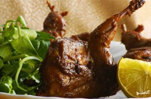quail closeup 310x205 - طرز تهیه خوراک بلدرچین