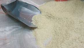 rice1 290x165 - راهنمای خرید برنج مرغوب