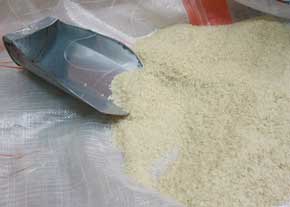 rice1 - راهنمای خرید برنج مرغوب